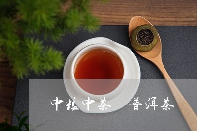 中粮中茶 普洱茶/2023041184935